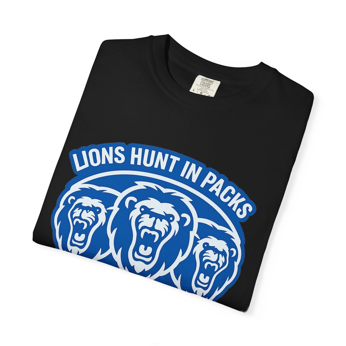 Detroit Lions Graphic Tee, Unisex T-shirt for Sports Fans, Casual Wear, Gift for Game Day, Team Spirit Apparel