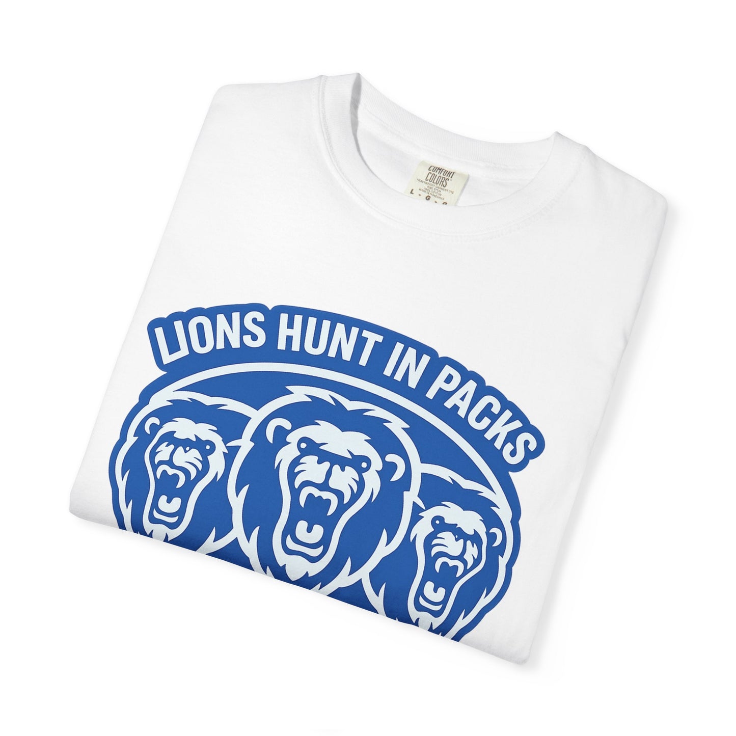 Detroit Lions Graphic Tee, Unisex T-shirt for Sports Fans, Casual Wear, Gift for Game Day, Team Spirit Apparel
