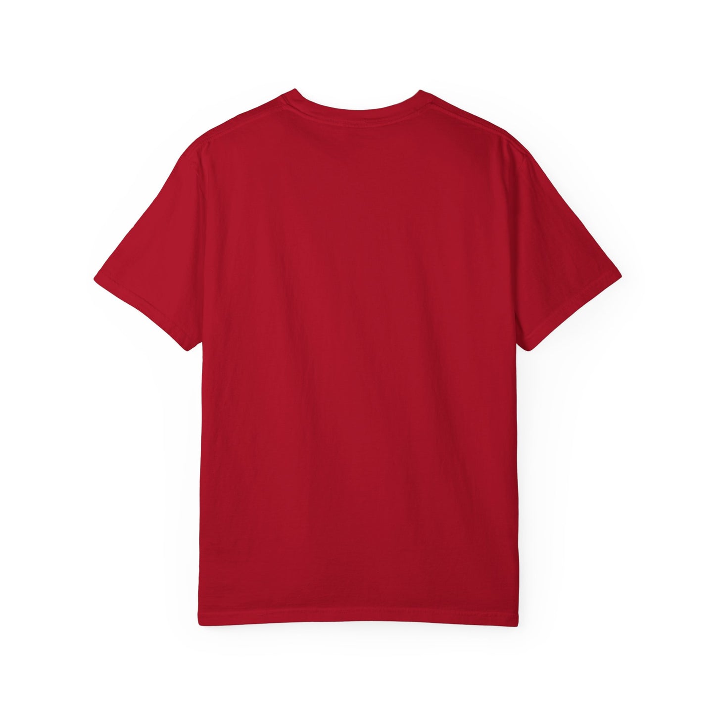 Detroit Fluent T-Shirt, Cool Gift for Detroit Lovers, Casual Wear, Unisex Tee, Summer Fashion